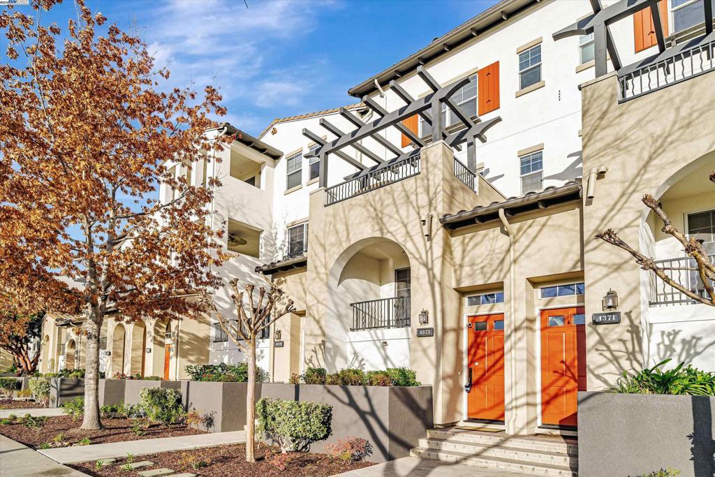 Photo of Listing #41086247