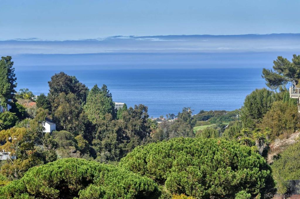 Photo of Listing #250019219SD