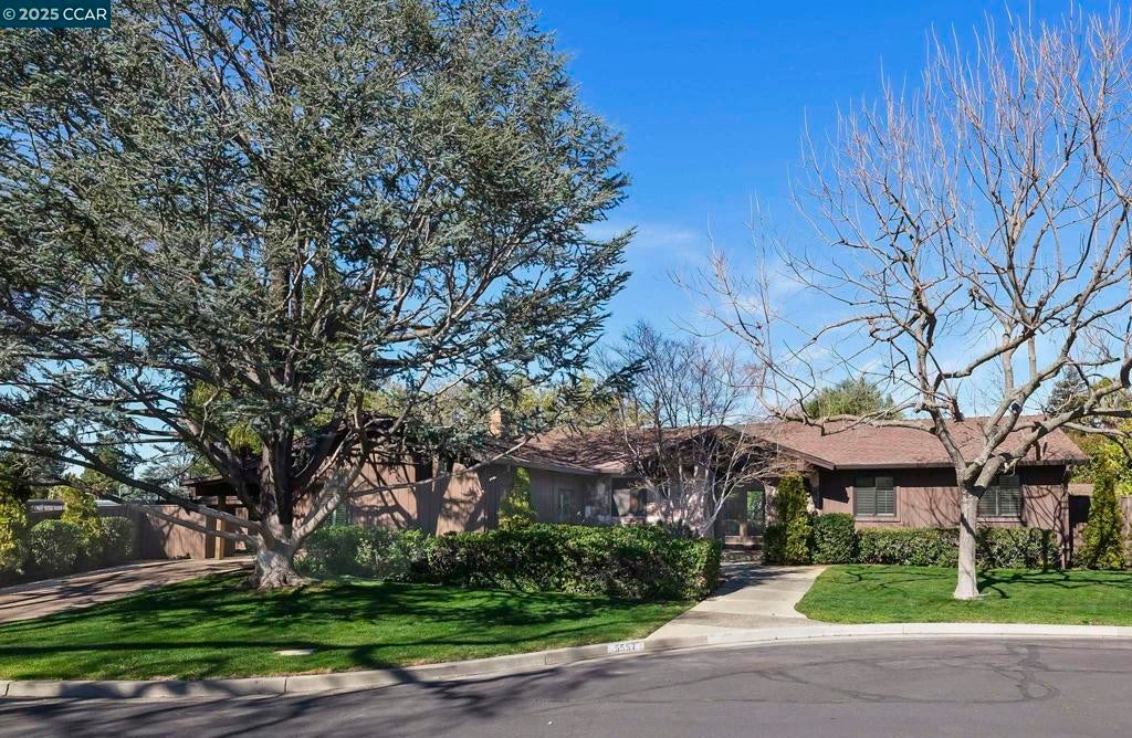 Photo of Listing #41086291