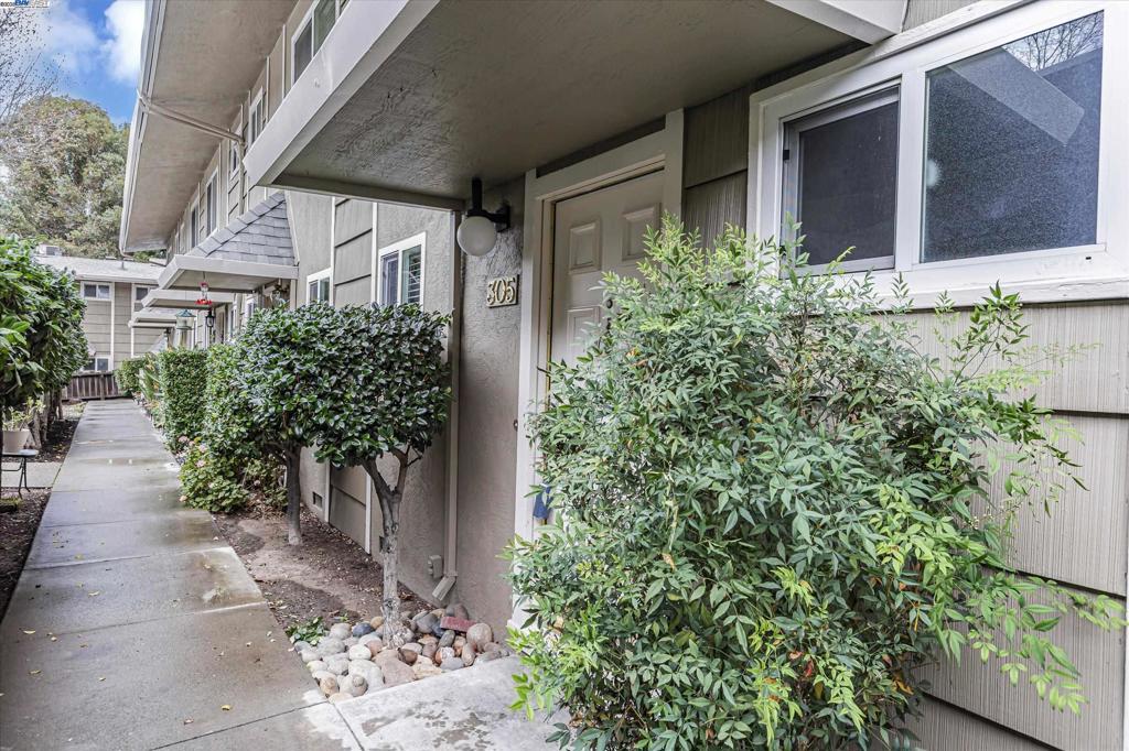 Photo of Listing #41086427