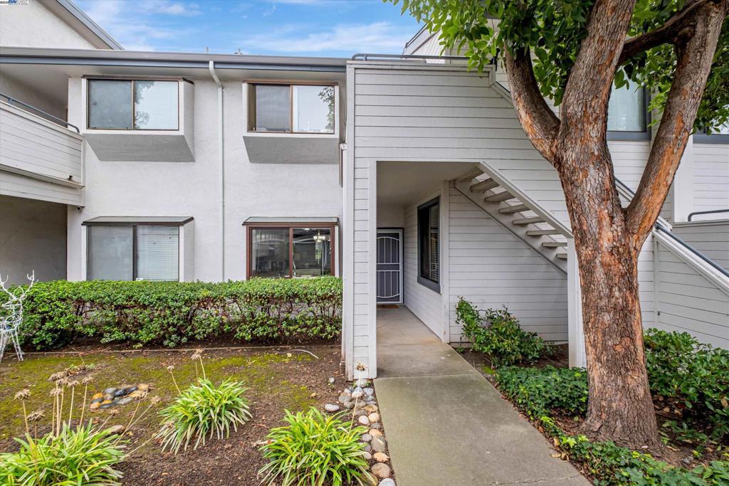 Photo of Listing #41086591