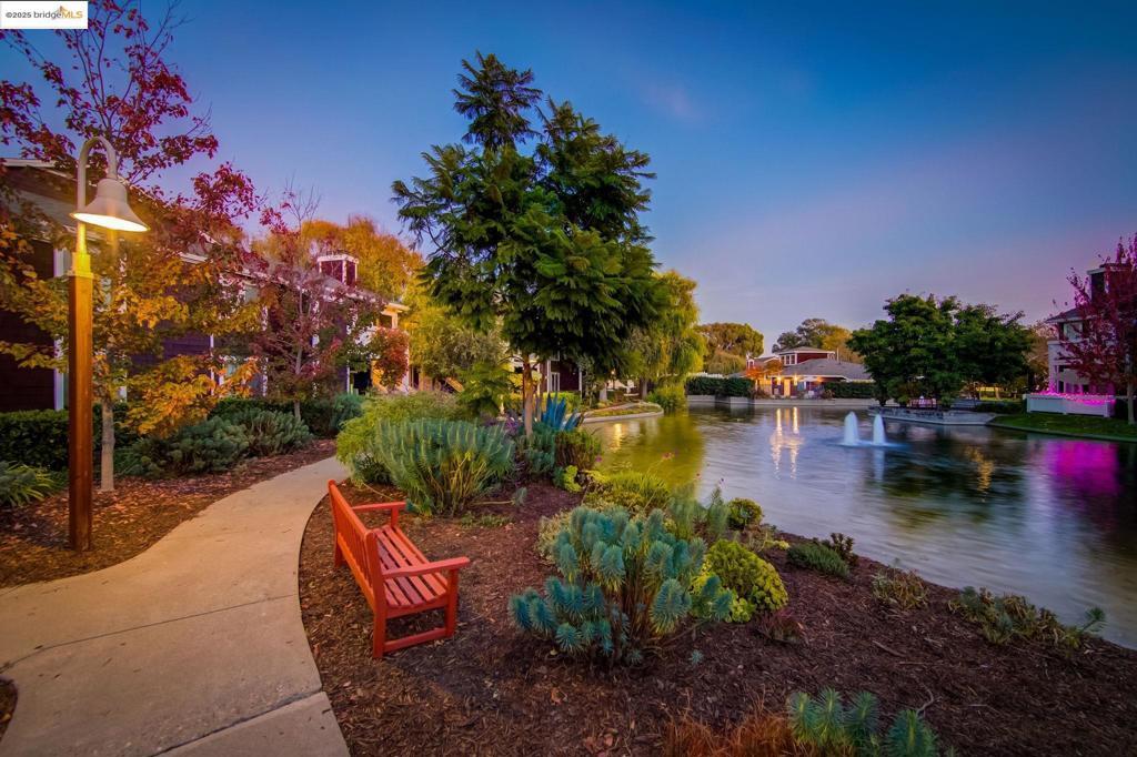 Photo of Listing #41086658