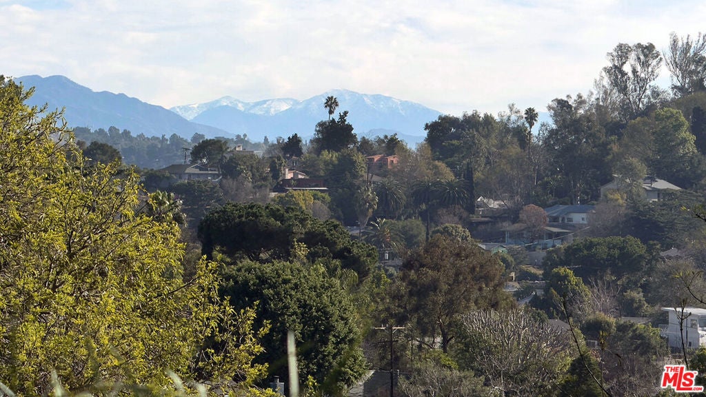 Photo of Listing #25499229