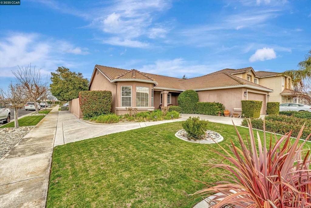 Photo of Listing #41086850