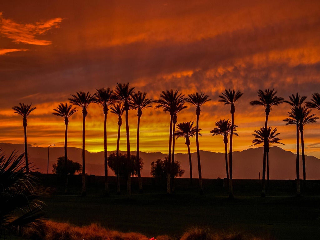 Photo of Listing #219125253DA