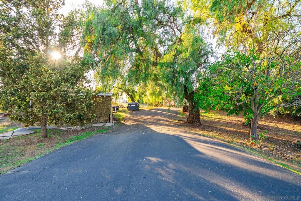 Photo of Listing #250019693SD