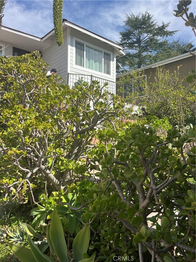 Photo of Listing #PF25040292