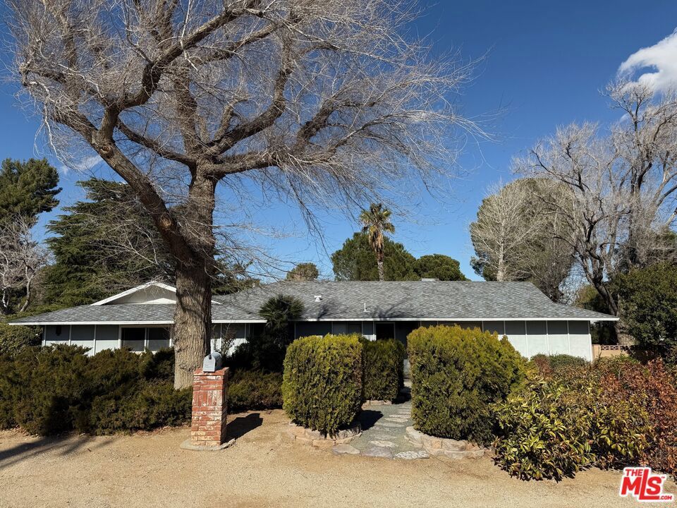 Photo of Listing #25501779