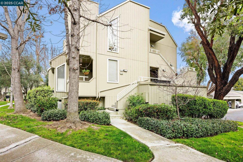 Photo of Listing #41087094