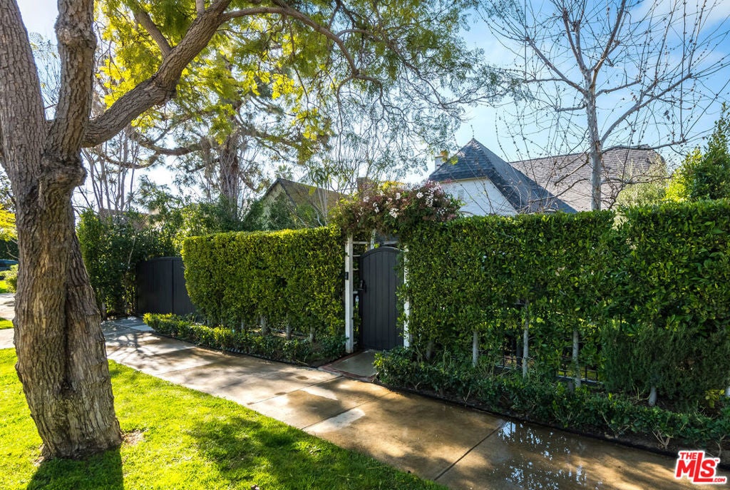 Photo of Listing #25503243