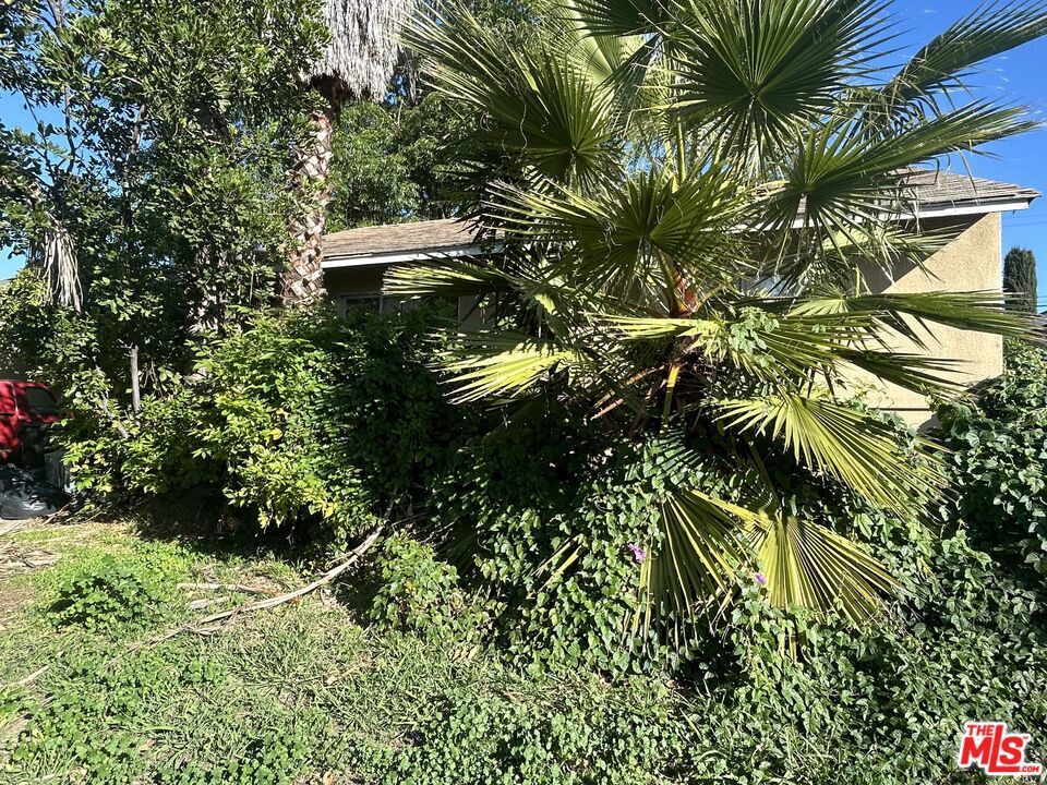 Photo of Listing #25504003