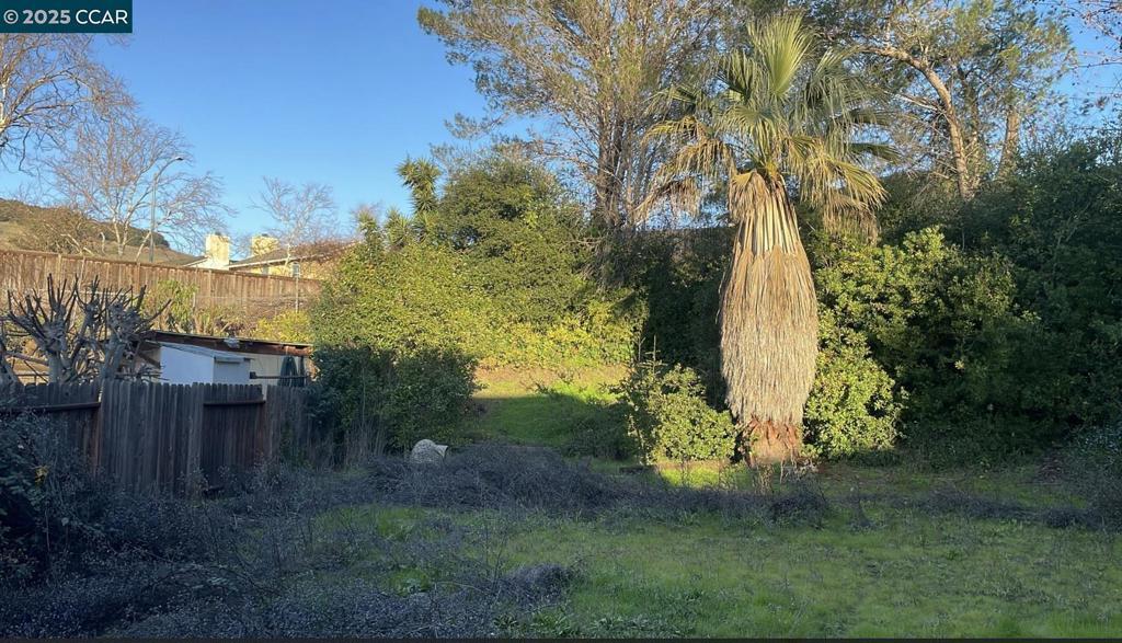 Photo of Listing #41087567