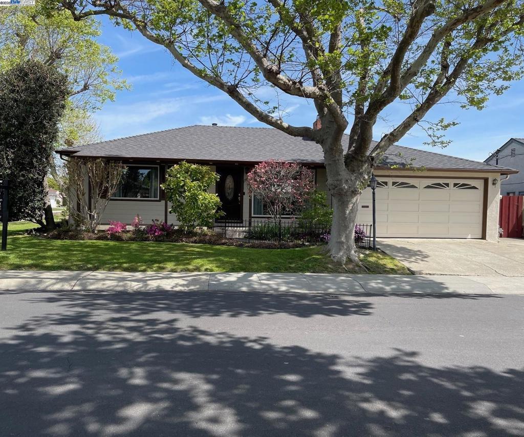 Photo of Listing #41087652