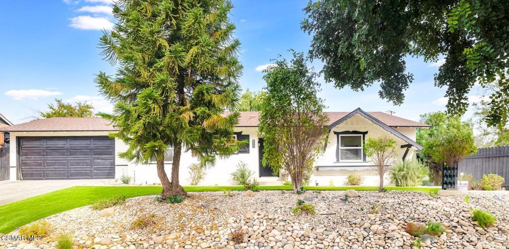 Photo of Listing #225001070