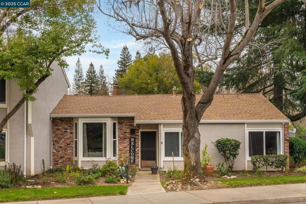 Photo of Listing #41088133