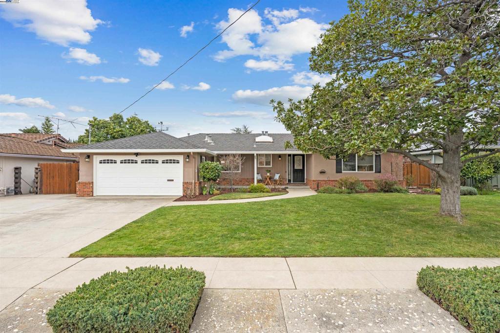 Photo of Listing #41088231