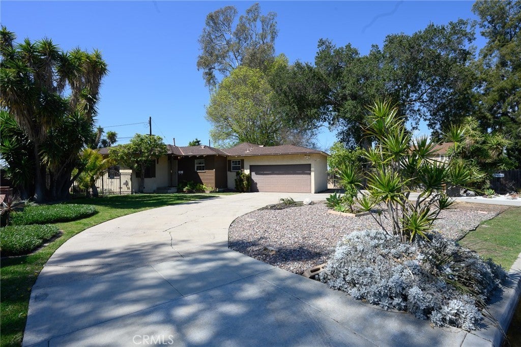 Photo of Listing #DW25050110