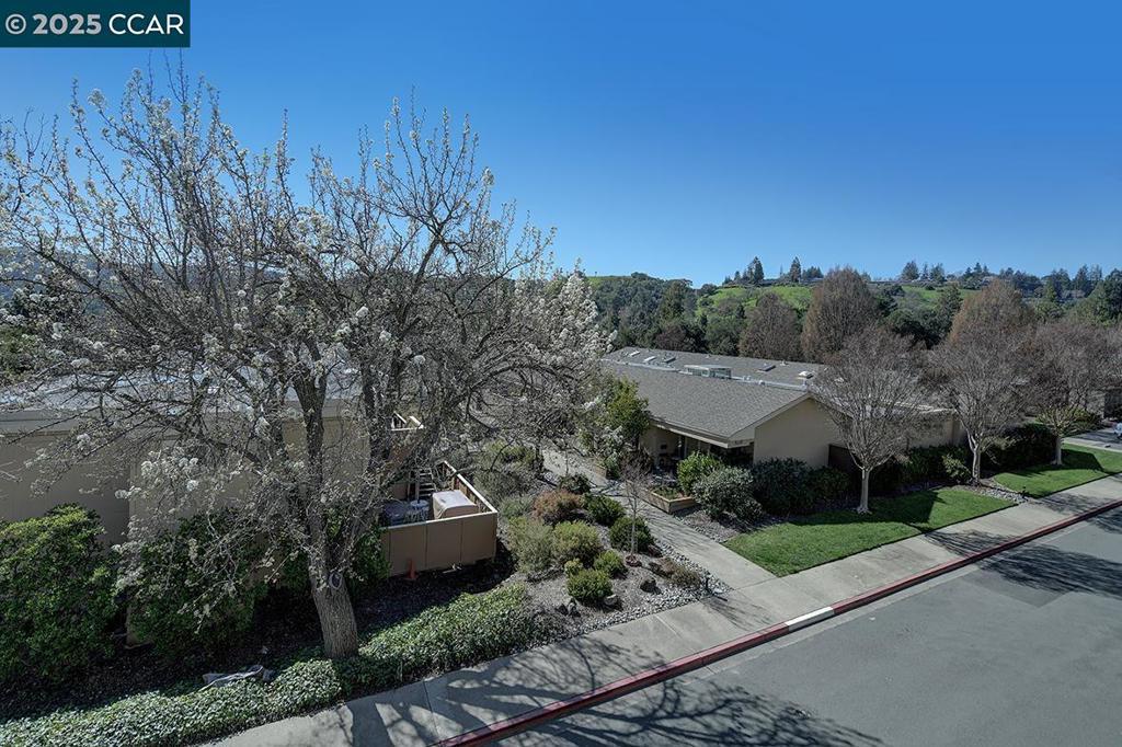 Photo of Listing #41088672