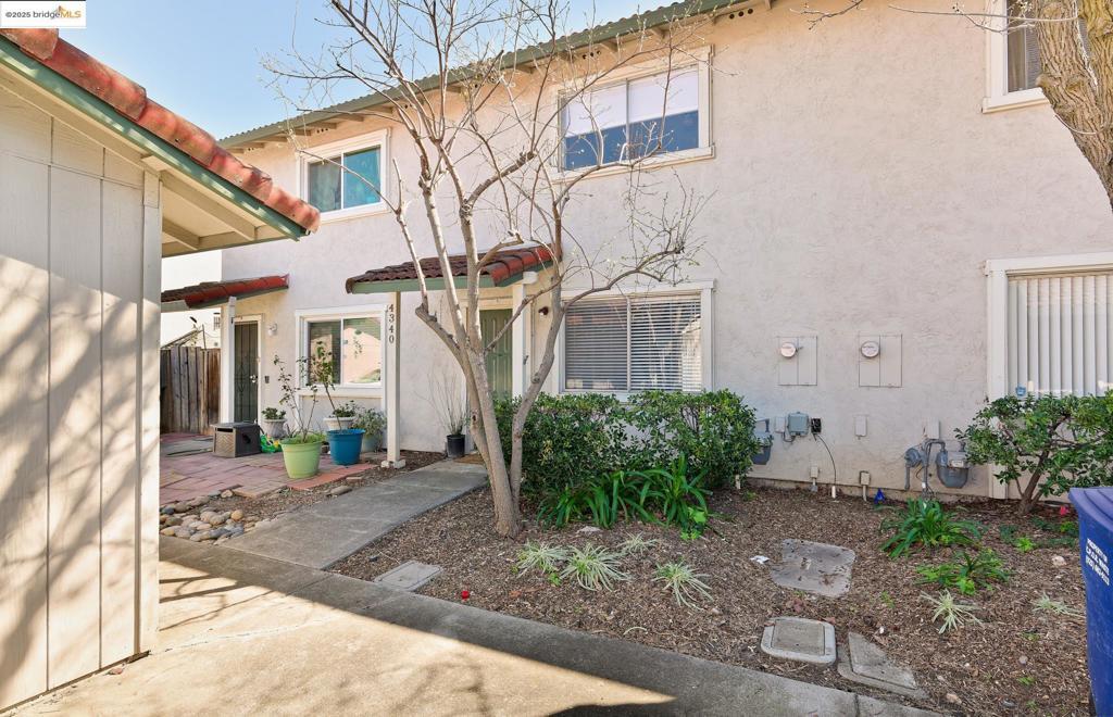 Photo of Listing #41088681