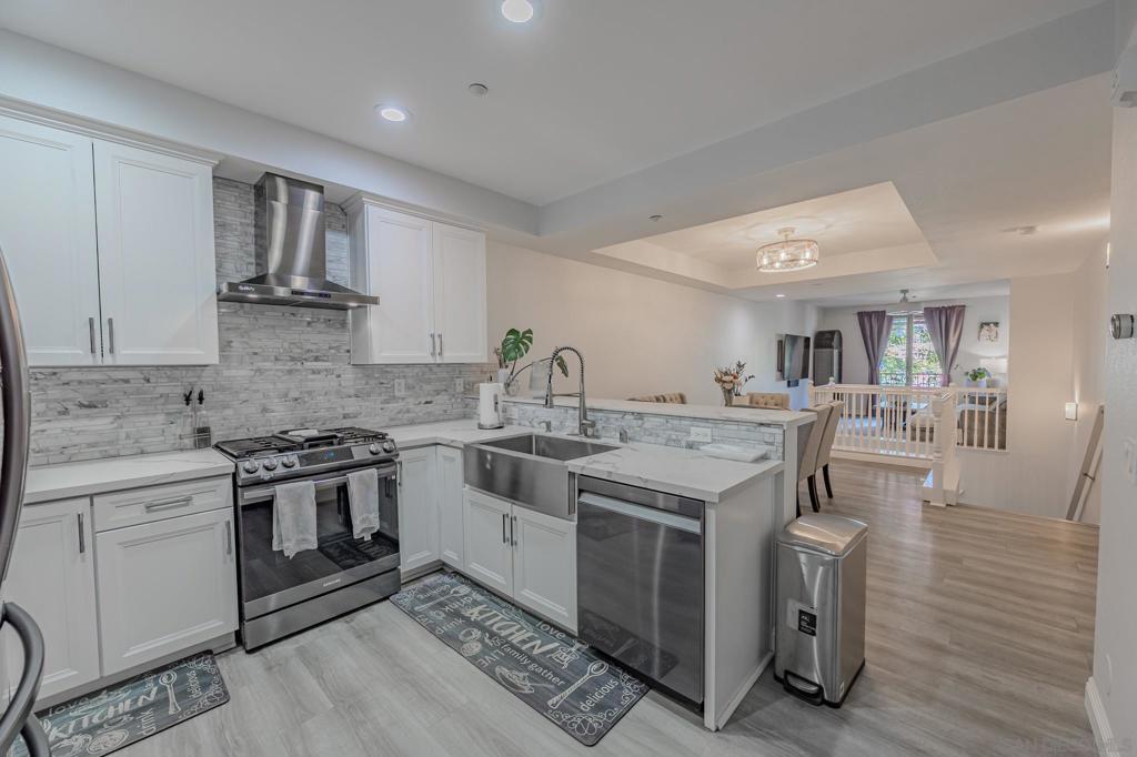 Photo of Listing #250021394SD