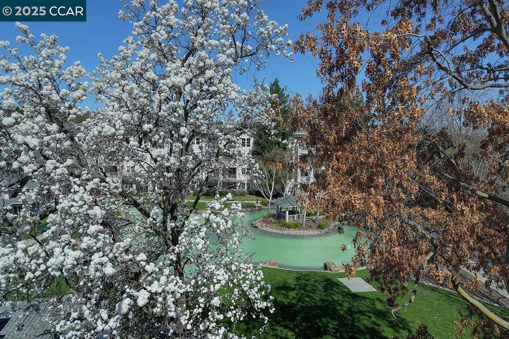 Photo of Listing #41089637