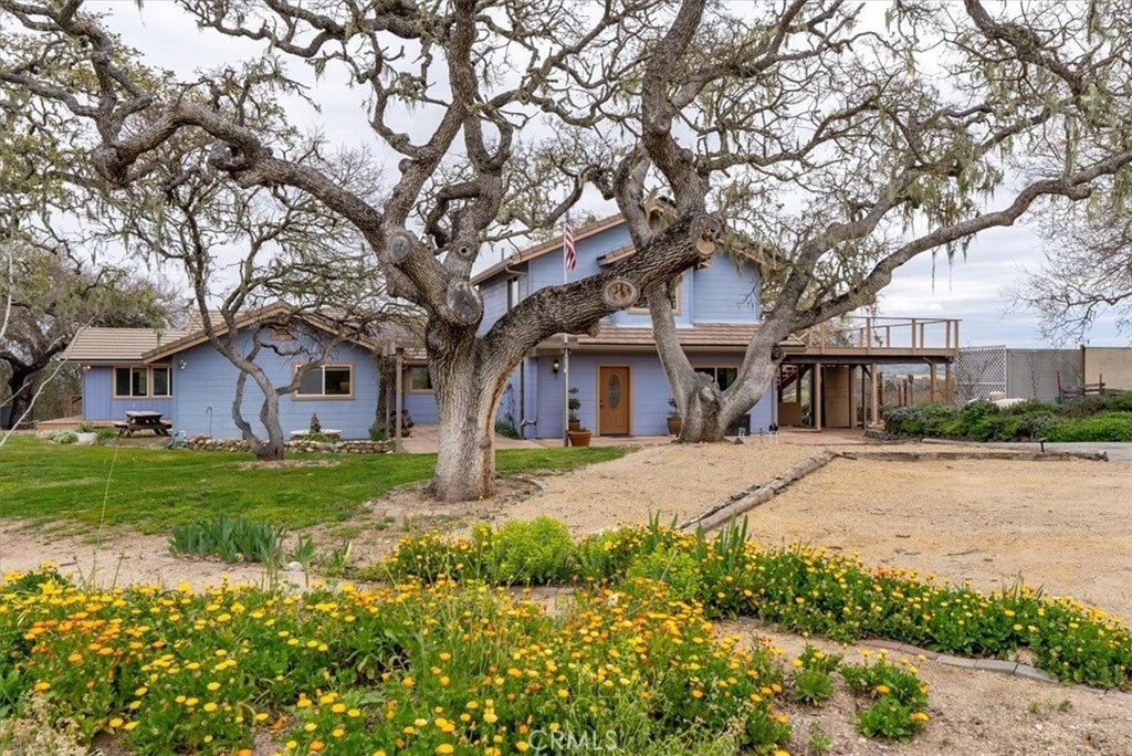 Photo of Listing #NS25057418