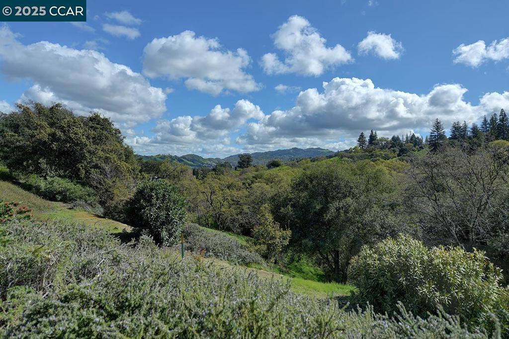 Photo of Listing #41089797