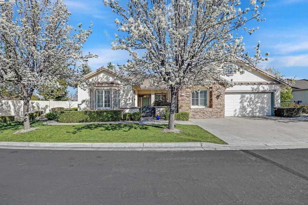 Photo of Listing #41089936