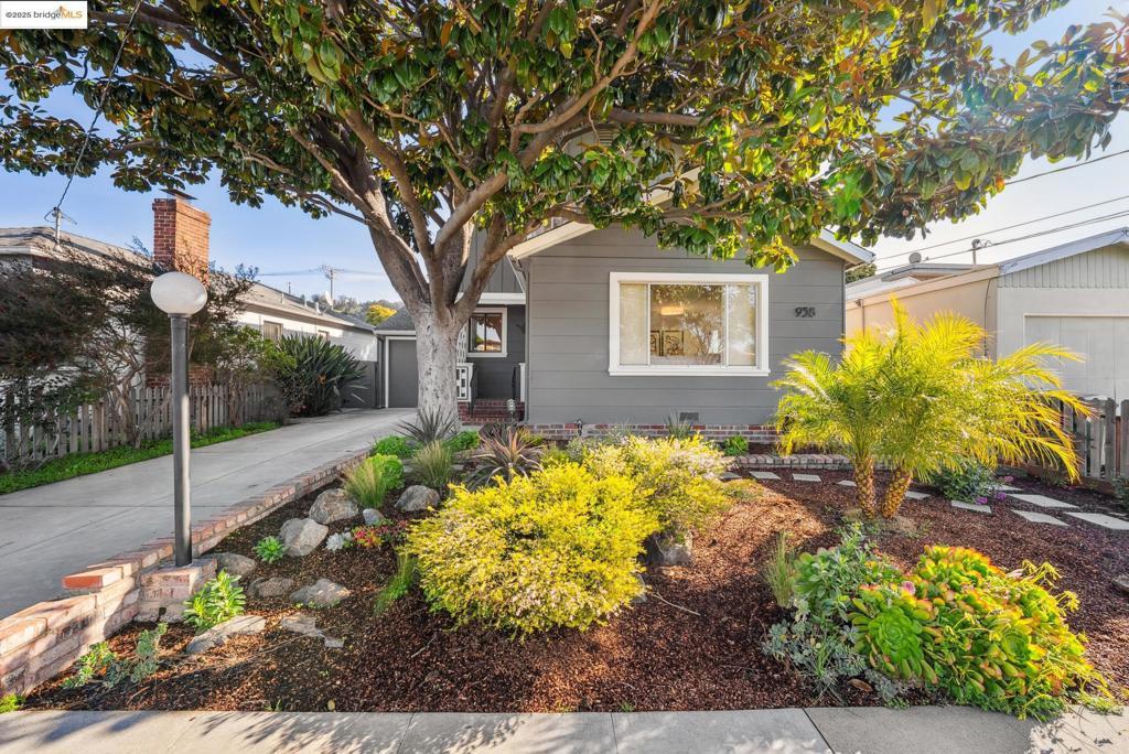 Photo of Listing #41090007