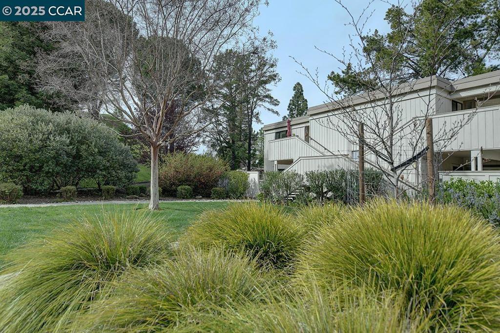 Photo of Listing #41090247