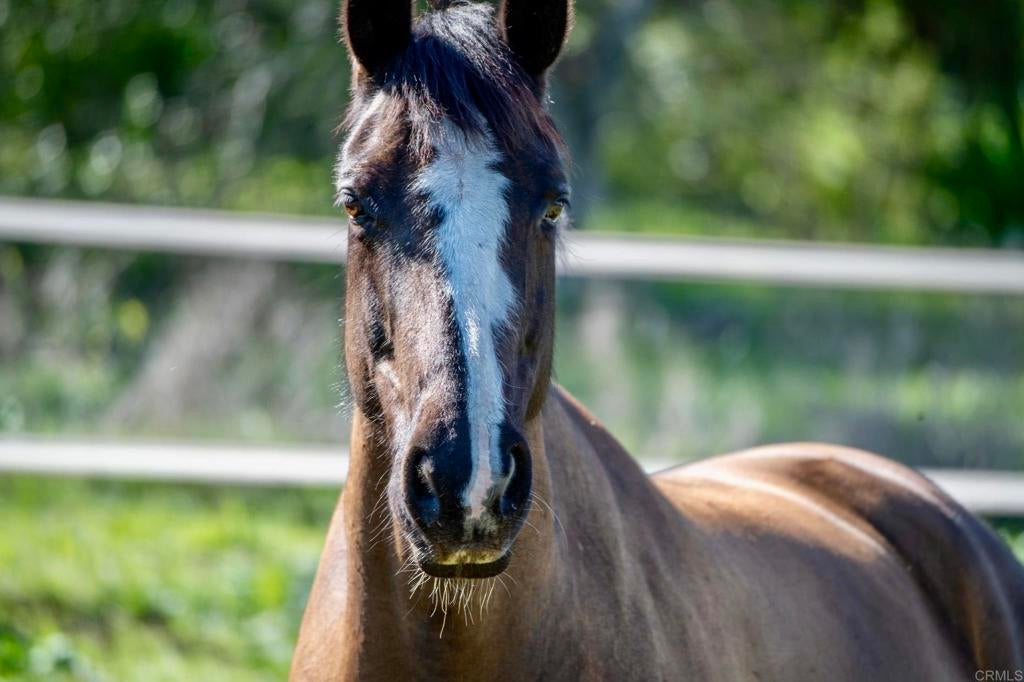 Photo of Listing #NDP2502863