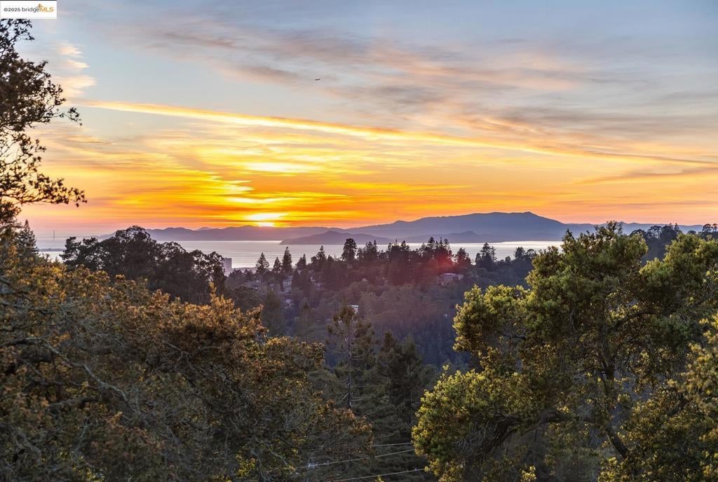 Photo of Listing #41090997