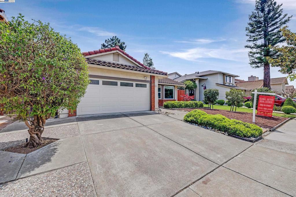 Photo of Listing #41091264