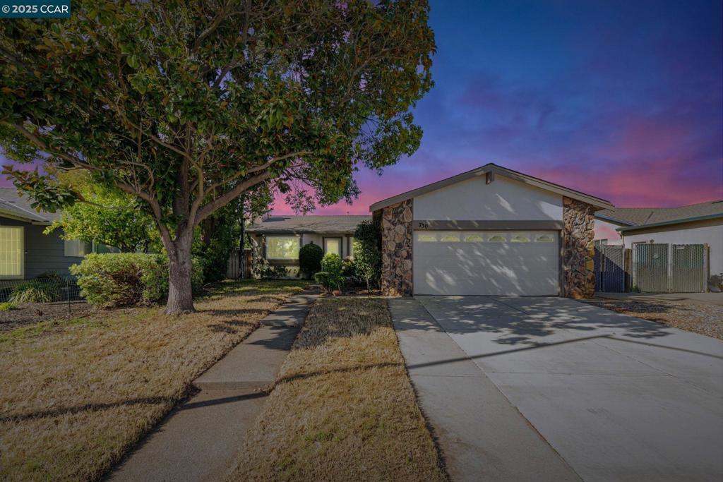 Photo of Listing #41091282