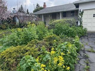 Photo of Listing #ML82000269