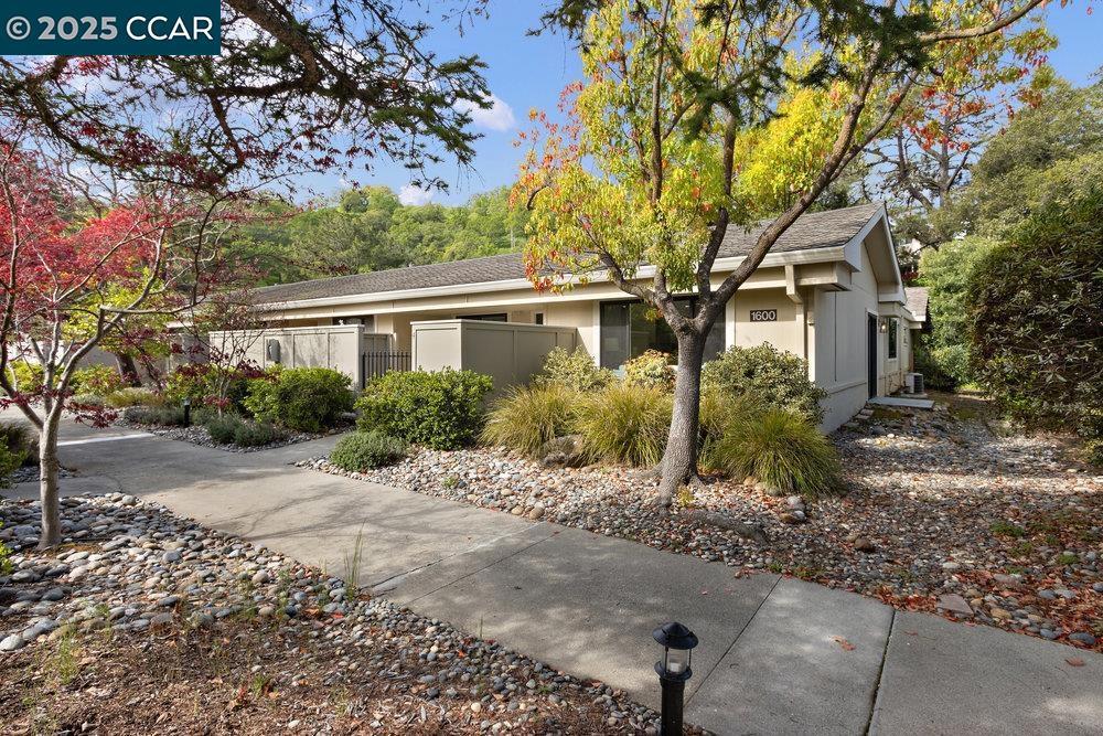 Photo of Listing #41091509