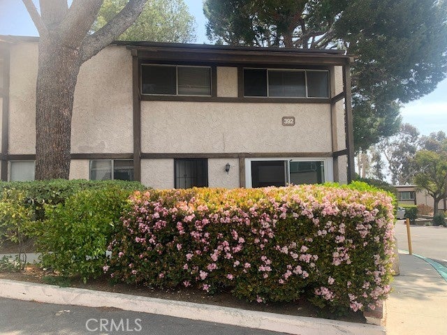 Photo of Listing #SR25067039