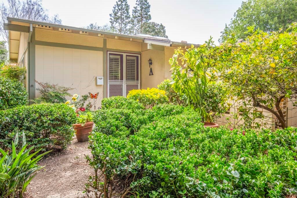 Photo of Listing #OC25067856