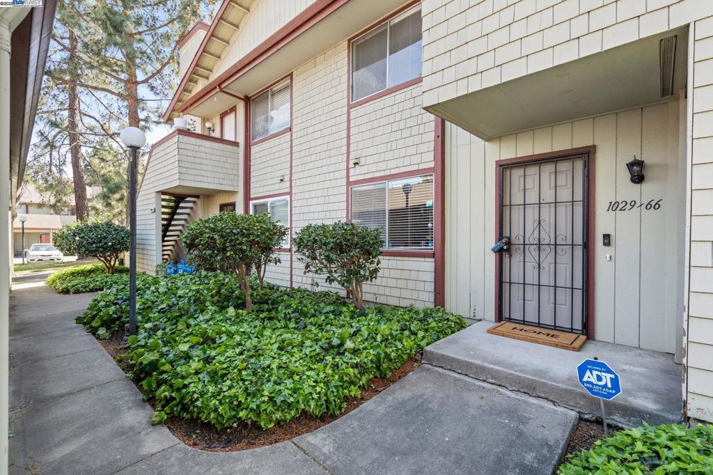 Photo of Listing #41091947