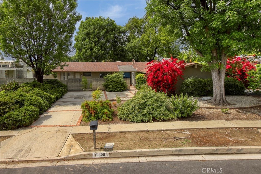 Photo of Listing #SR25070087