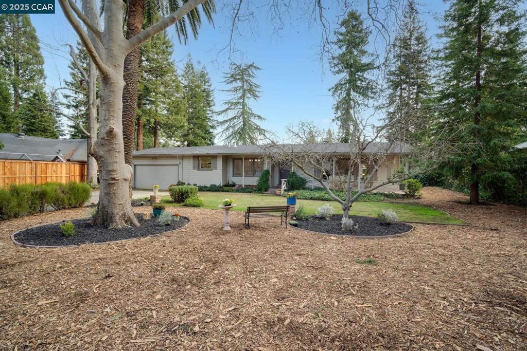 Photo of Listing #41092070