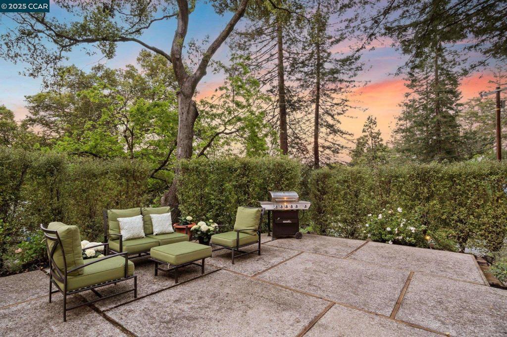 Photo of Listing #41092079