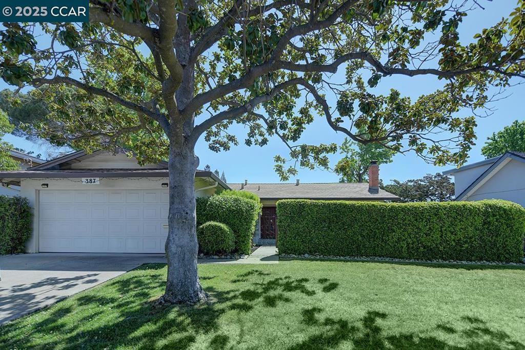 Photo of Listing #41092442