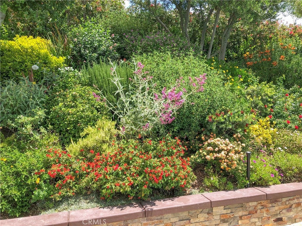 Photo of Listing #SR25076422