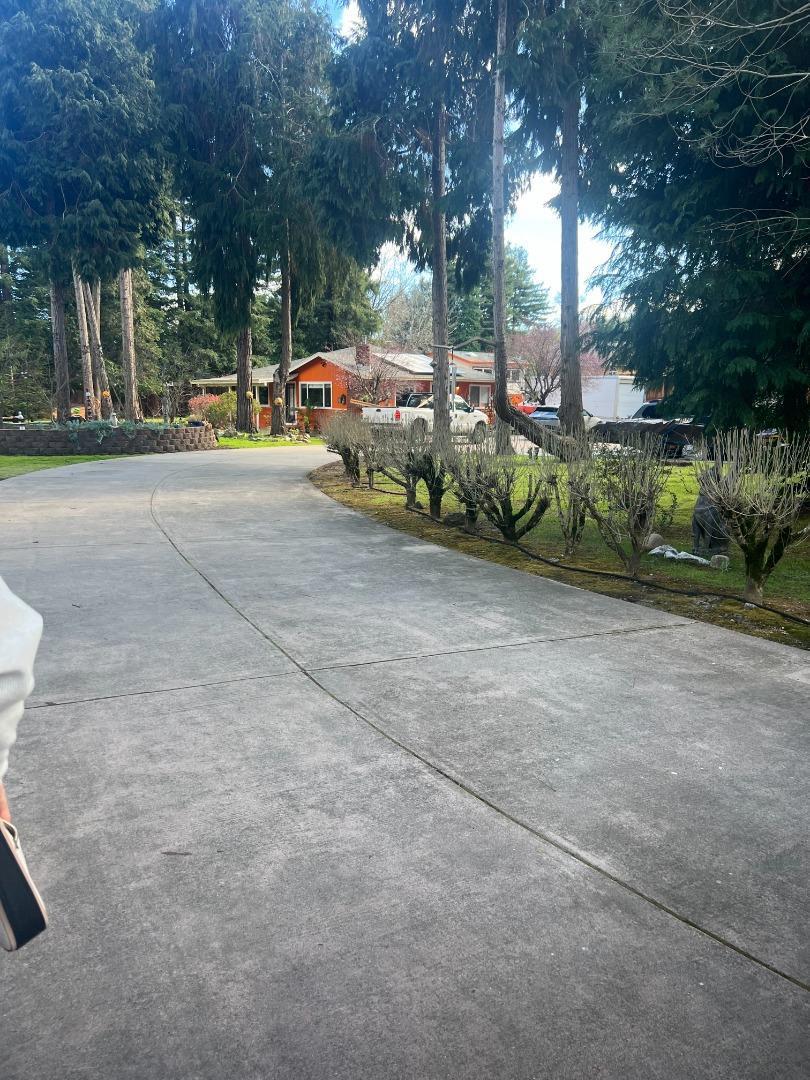 Photo of Listing #ML82001591