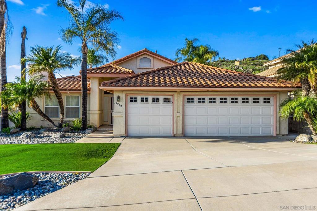 Photo of Listing #250023901SD