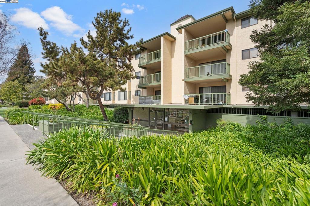 Photo of Listing #41092699