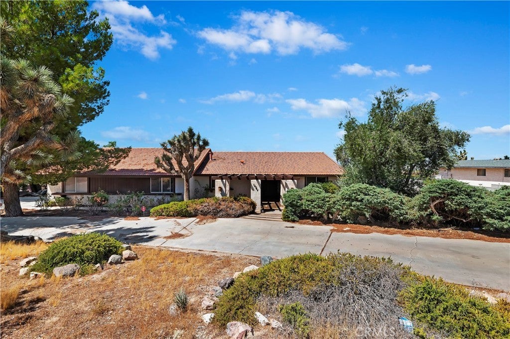 Photo of Listing #IV25075818