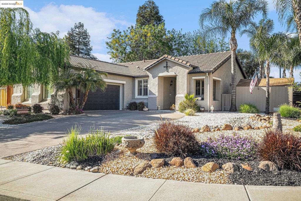 Photo of Listing #41092821