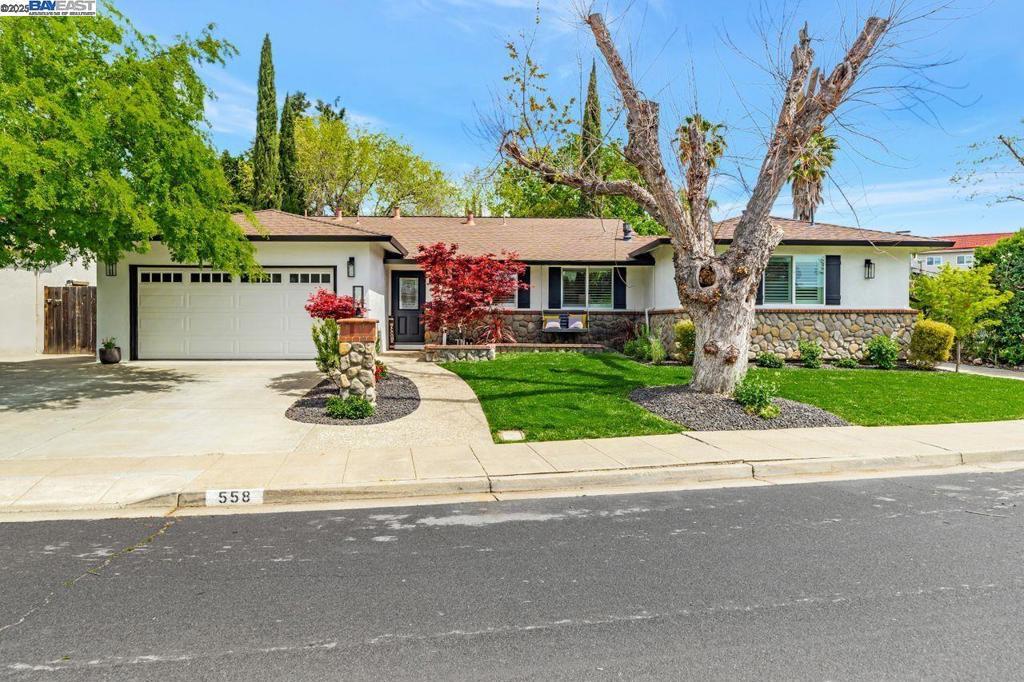 Photo of Listing #41092978